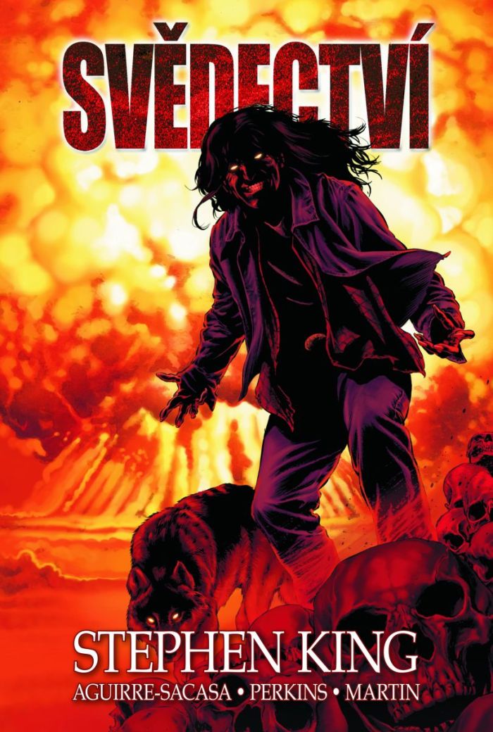 Svědectví Stephena Kinga (BE) - obálka knihy